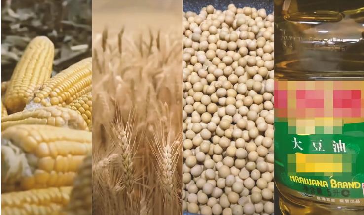  4月2日 CBOT大豆、小麦、玉米期货技术分析
